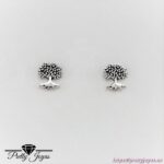 Pendientes Arbol de la Vida en Plata